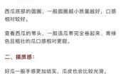 怎样判断西瓜的成熟度（以外观）