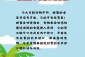 做微信公众号的必备知识？如何有效管理内容和粉丝互动？
