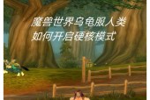 魔兽世界乌龟服副本打法指南？