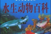 中国稀有动物保护现状与挑战（探索中国独特生物多样性）