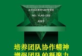 如何提升员工团队凝聚力培训效果？培训方法有哪些常见问题？
