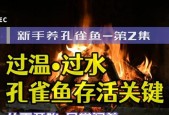 如何正确过水以养鱼新鱼（关键技巧与方法让您的新鱼健康成长）