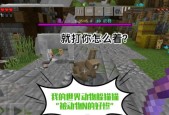 我的世界小猫固定方法是什么？
