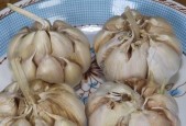 口感鲜嫩、香味浓郁，尽在这里（口感鲜嫩、香味浓郁）