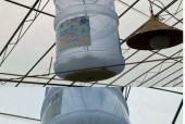 水桶音箱接线步骤是什么？图解方式能否更清晰？