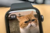 绿源苹果手表开机步骤是什么？遇到问题怎么办？
