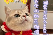 小米手机自动刷猫卡功能怎么开启？操作步骤是什么？