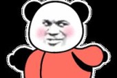 动态表情包的魅力与传播力（揭秘网络文化现象）