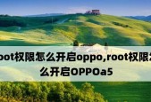 如何获取OPPO手机的Root权限（简单易行的方法让你轻松获取OPPO手机的Root权限）