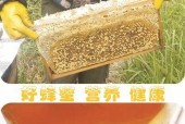 如何判断蜂蜜的纯度（探索真假蜂蜜的关键因素和识别方法）