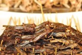 古代人为何不将蝗虫作为主食（探寻古代人不食蝗虫的文化）