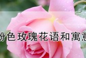如何延长玫瑰花的保鲜时间（简单有效的方法）