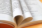 探究龙斯基塞恩天赋穿甲流的优势与应用（重点分析龙斯基塞恩天赋）