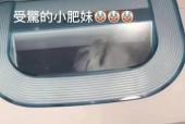 “姐姐卡洗衣机里”是什么梗？这个梗的来源和含义是什么？