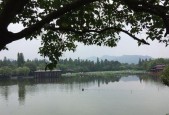 西湖十景的景观特色有哪些？如何分析其独特之处？