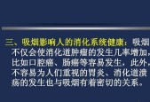 吸烟的危害（了解吸烟对身体的危害及戒烟的重要性）