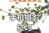 手机拍照时如何调整曝光？有哪些技巧？
