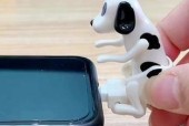 没有充电器的情况下如何使用狗二？替代充电方法是什么？