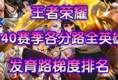菜鸟王者荣耀发育路英雄选择是什么？玩法技巧有哪些？