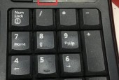 解决键盘被锁住无法打字的方法（如何应对键盘无法输入的情况及解决方案）