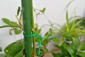 铁丝编织数据线接法有哪些？如何正确连接？