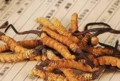 如何辨别冬虫夏草的真伪？鉴别真假冬虫夏草的技巧有哪些？