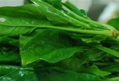 菠菜的美味与营养——如何最好地烹饪菠菜（健康生活从一道菠菜佳肴开始）