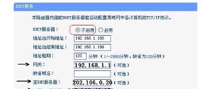 电信网DNS首选服务器是什么（探索电信网络中的域名系统服务器选择机制）  第1张