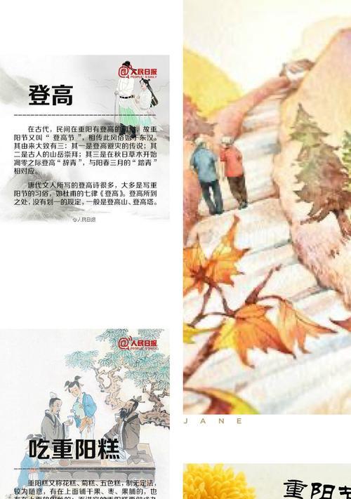 重阳节饮菊花酒的意义（传统习俗中的重阳节饮菊花酒）  第1张