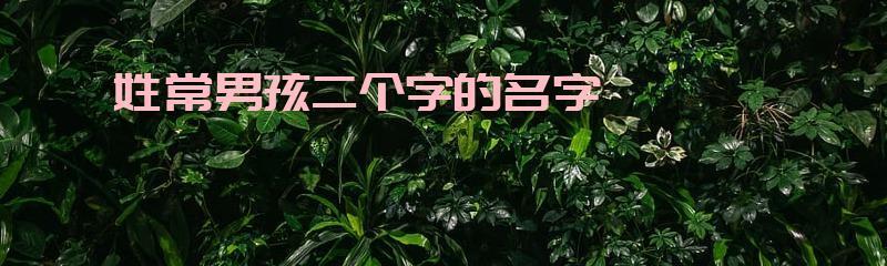男孩子取名字的技巧（给你的宝贝起个好名字）  第1张