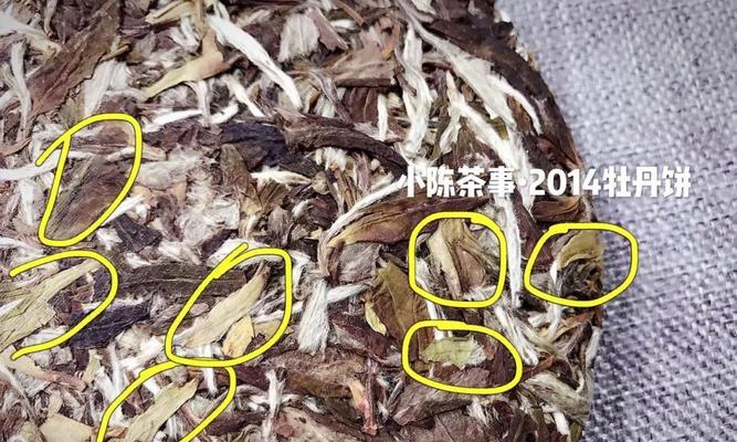 探索Niko准星的神秘世界（揭开Niko准星所代表的颜色之谜）  第1张