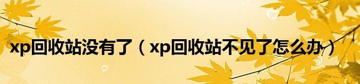 如何找回被清空的电脑回收站中的文件（高效恢复电脑回收站中误删除的文件的方法）  第2张