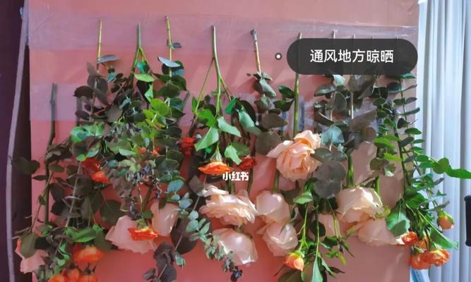如何制作和保存干花（用鲜花制作干花）  第2张