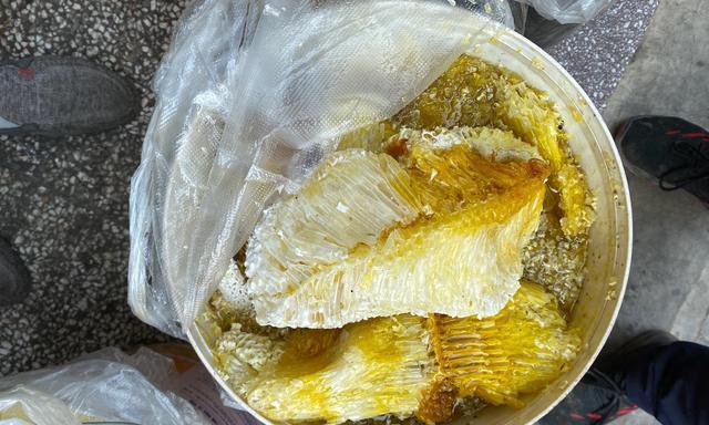 正宗蜂蜜的鉴别方法（识别正宗蜂蜜的关键指标及注意事项）  第1张