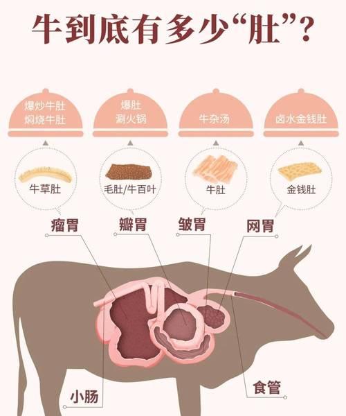 探究中国人为何称日本人为支那人（中国人对日本人的称谓背后的历史和文化背景）  第2张