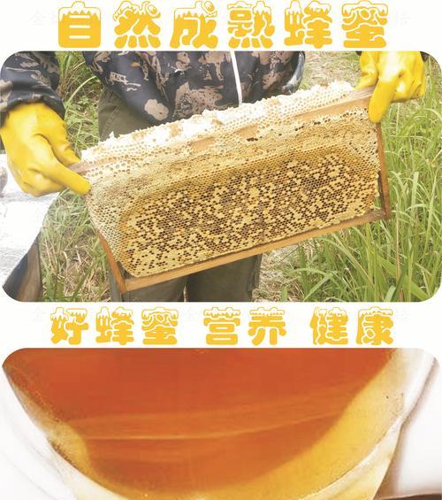 如何判断蜂蜜的纯度（探索真假蜂蜜的关键因素和识别方法）  第1张
