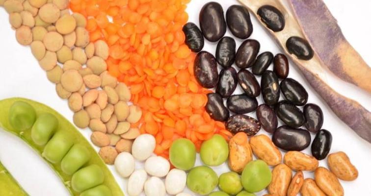 天生营养不良如何改善（健康饮食）  第2张