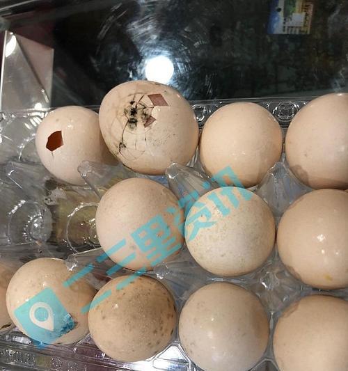 如何判断鸡蛋的新鲜程度（以观察外观、浸水试验和嗅觉检测为方法）  第2张
