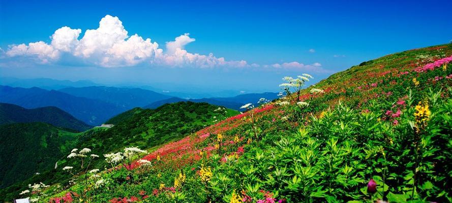 打造整洁有序的桌面空间（优化办公效率）  第2张