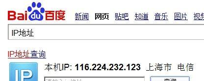 最新域名IP查询接口的重要性及使用方法（了解最新域名IP查询接口的作用和使用技巧）  第1张