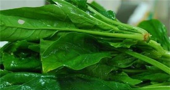 菠菜的美味与营养——如何最好地烹饪菠菜（健康生活从一道菠菜佳肴开始）  第1张
