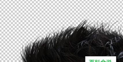 关于ps最简单的抠图方法？如何快速实现图片背景移除？  第3张