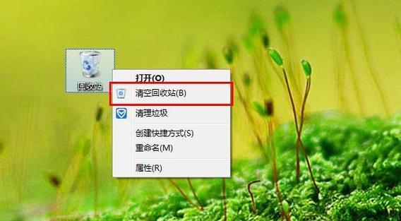 回收站清空后如何恢复文件？有哪些恢复技巧？  第2张