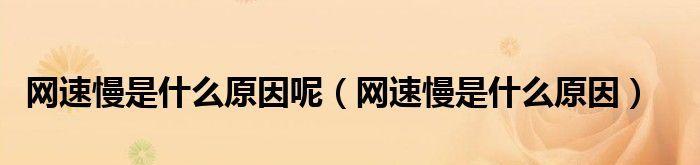 如何提高手机网速最有效？网速慢的解决方法是什么？  第3张