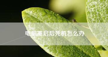 电脑频繁死机是怎么回事？如何解决？  第1张