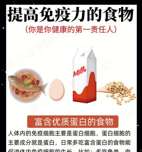 哪些食物能有效提高免疫力？排行榜前十名是什么？  第2张