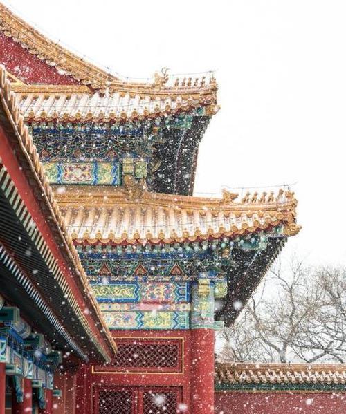 寒号鸟有哪些种类？它们的特征是什么？  第3张