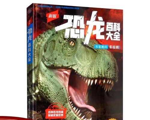 如何查看电脑上的收藏夹？收藏夹查看步骤是什么？  第2张