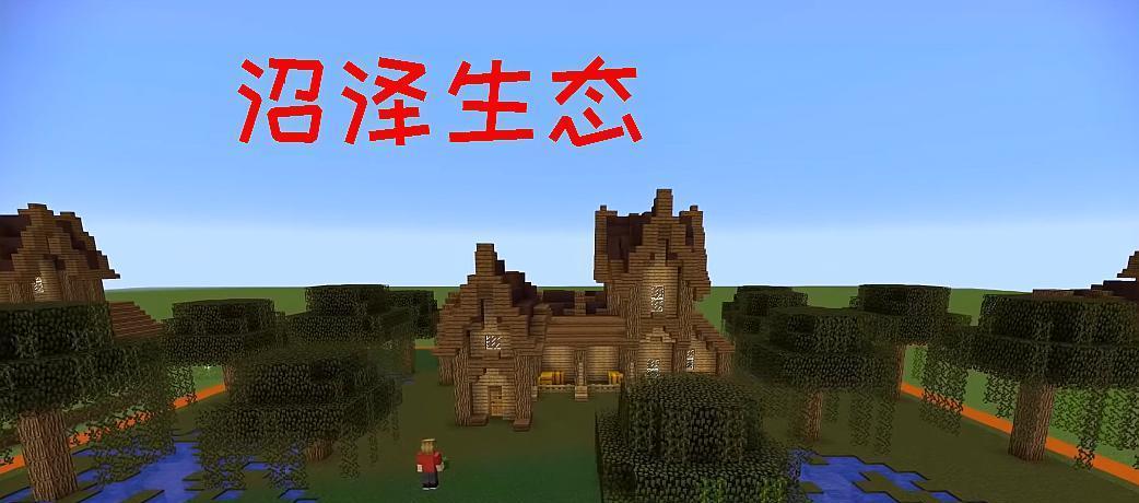 我的世界中非法生存如何解除？需要遵循哪些步骤？  第3张