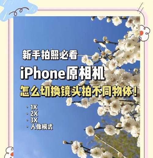 苹果手机拍照模糊如何调整？  第1张